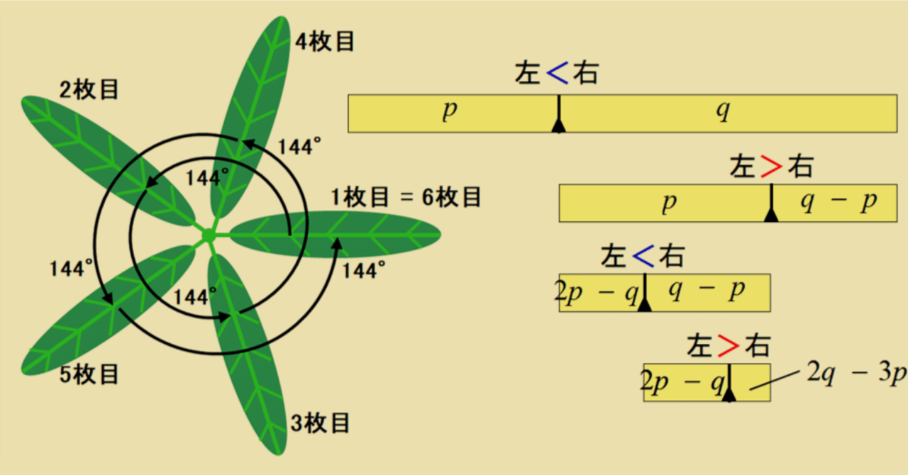 植物の葉序フィボナッチの件、自力で証明してみた｜hydraenids