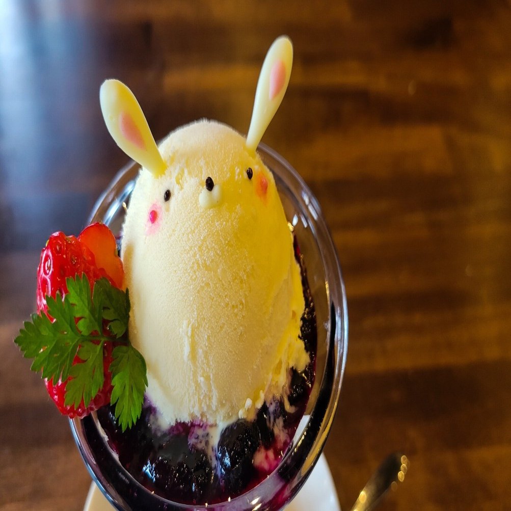 Cafeうさぎや』鳥取県伯耆町‥Webライターの記録#1｜詩的な記憶‥ꕤ*♪るん