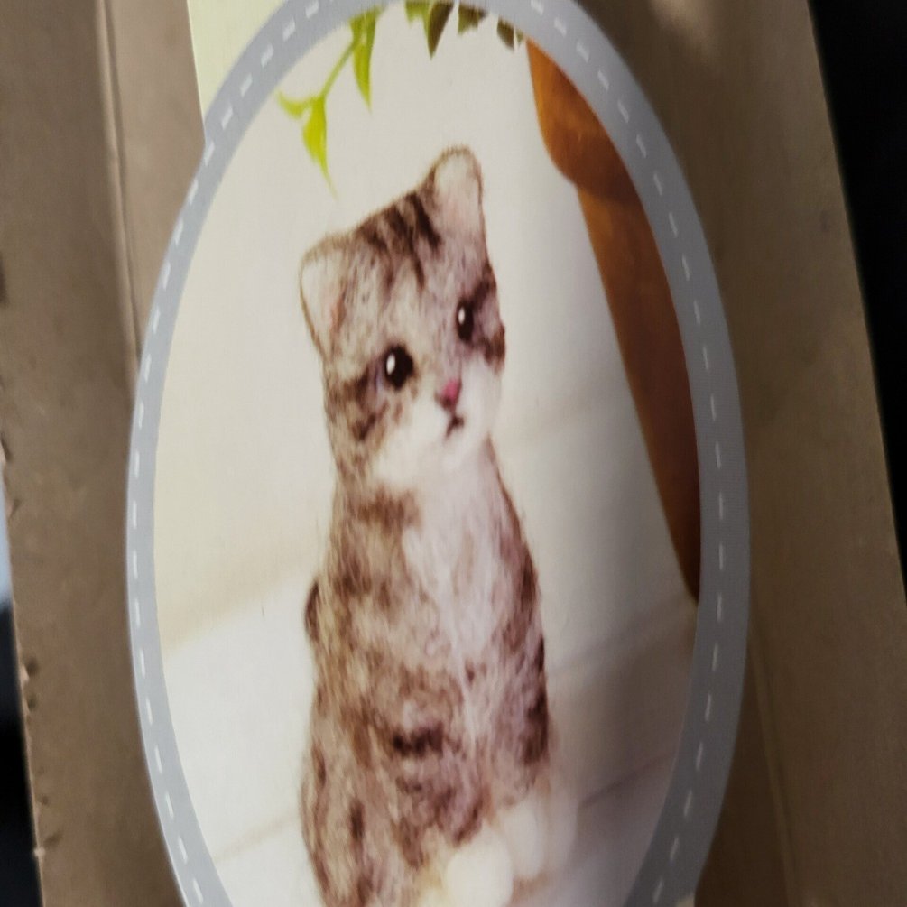 羊毛フェルトで初めての作品製作☆（邪神降誕）｜aosagi