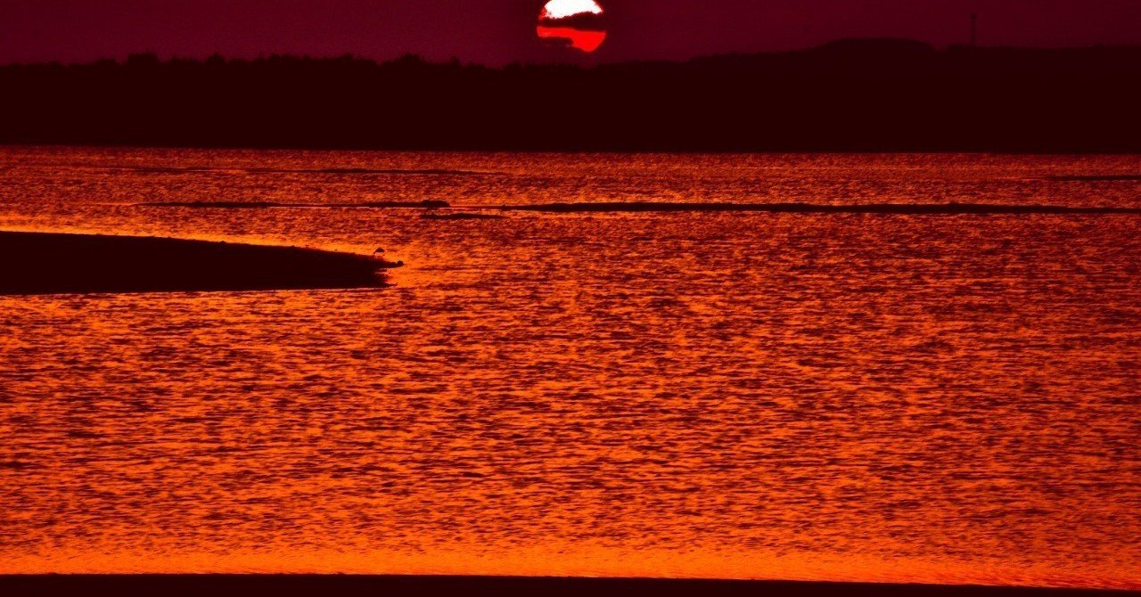 バカでいい 愚かでいい 福岡 要 Note