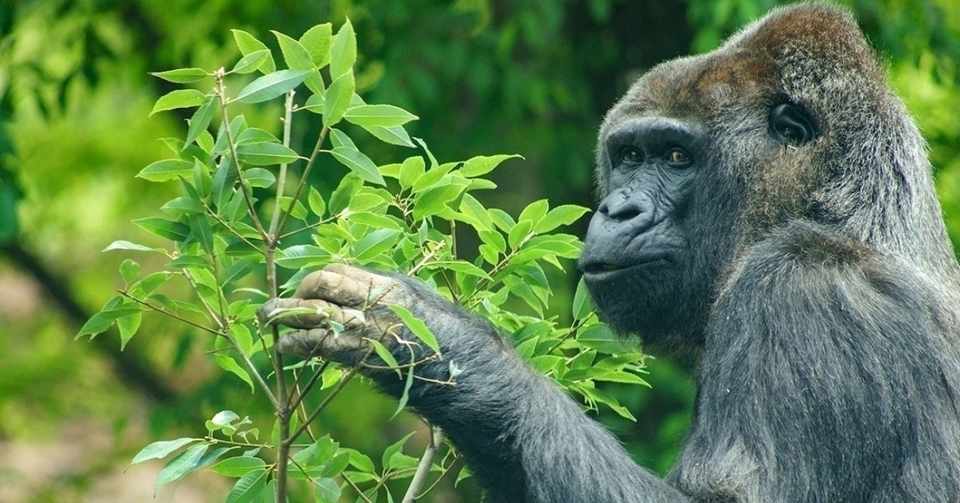 いじめてくる奴に成功体験をさせるな Sawa Note