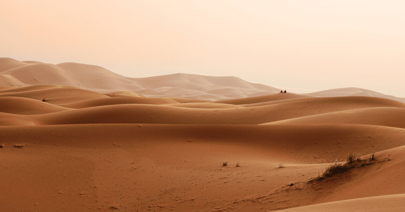 読書感想-「タタール人の砂漠」