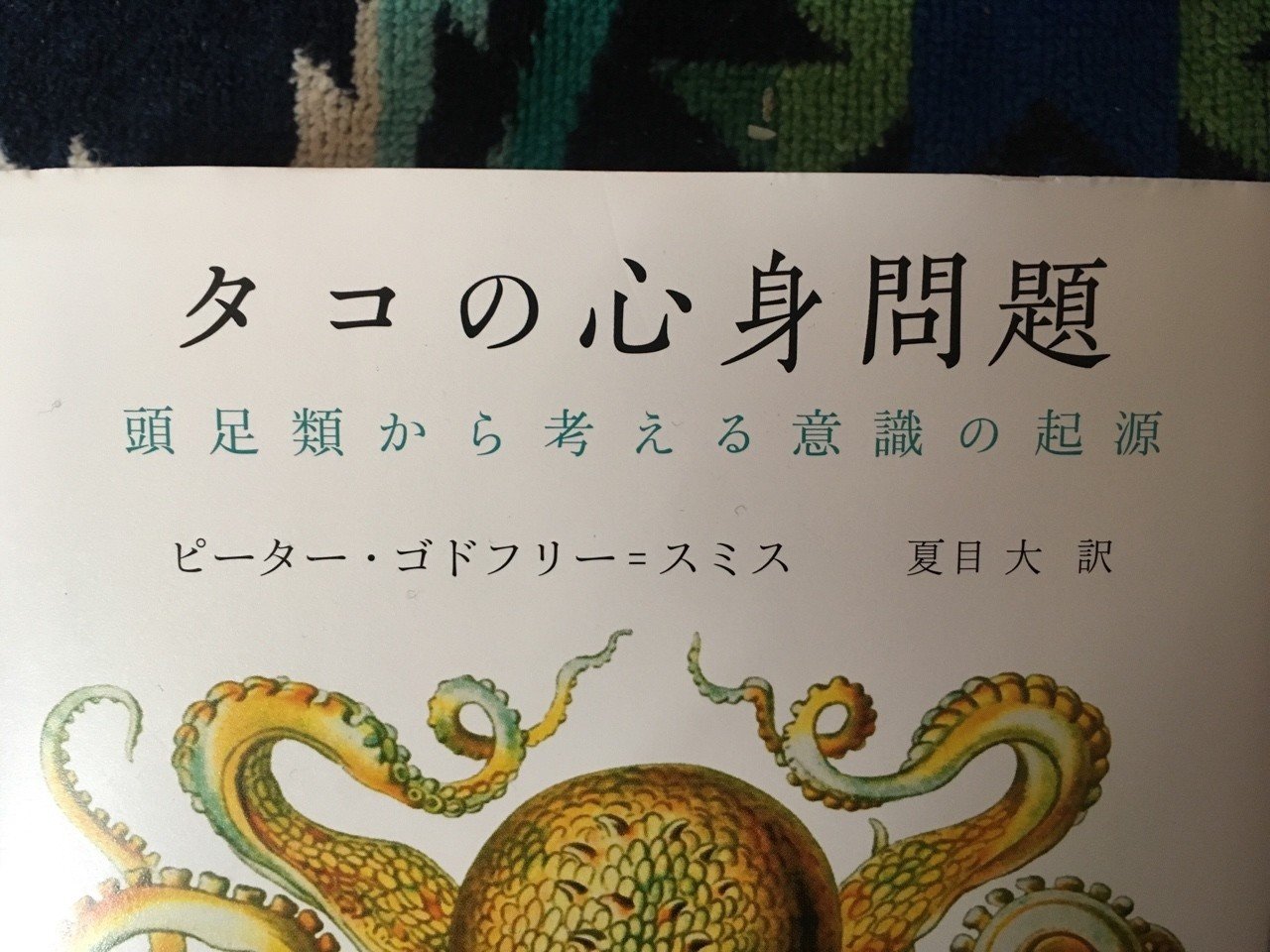 甲斐毅彦記者の 多事放論 タコの心身問題