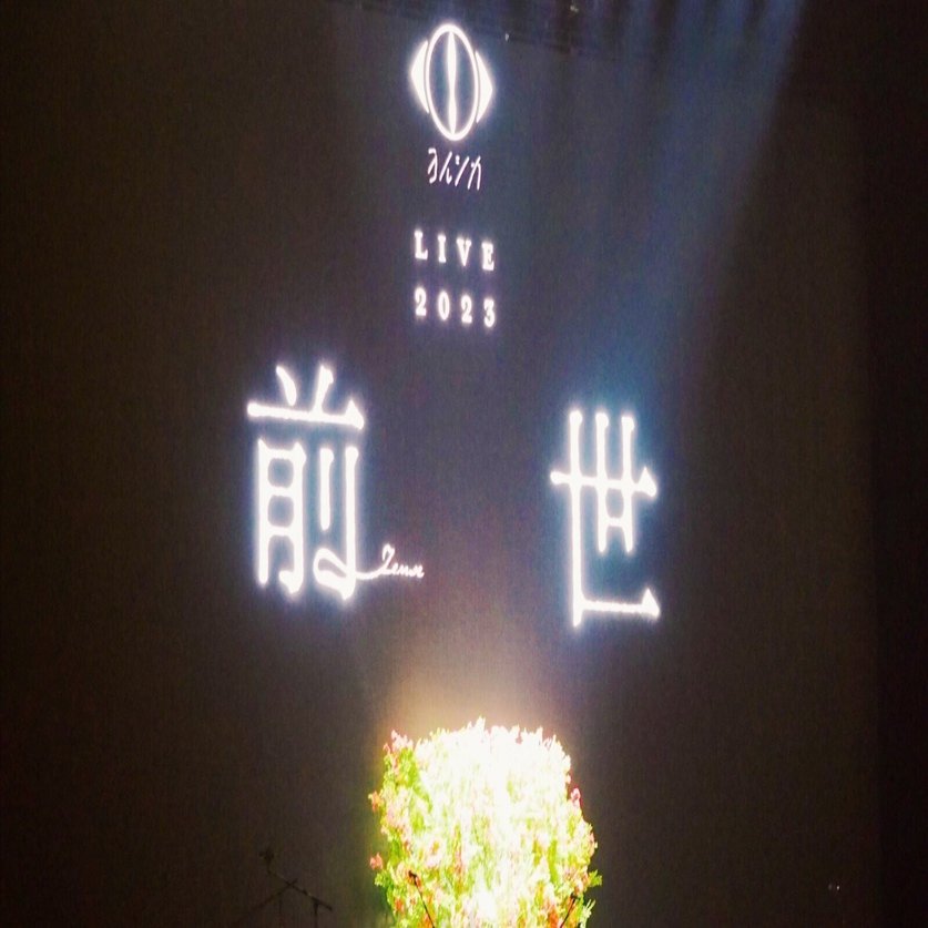 ヨルシカが愛される理由──ヨルシカ LIVE2023「前世」ライブレポ