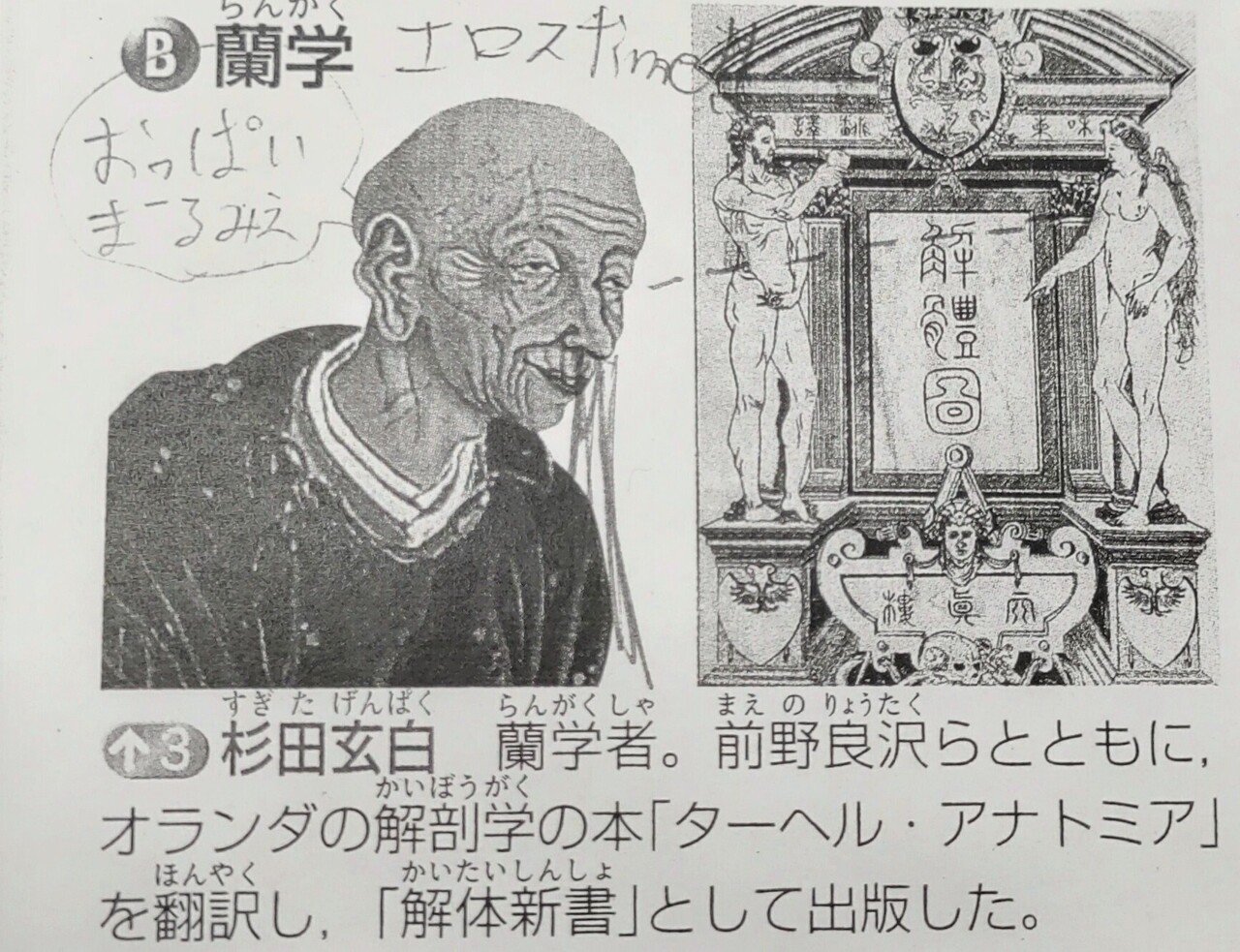 洋書 蘭学ターヘル・アナトミア/解体新書 インテリア