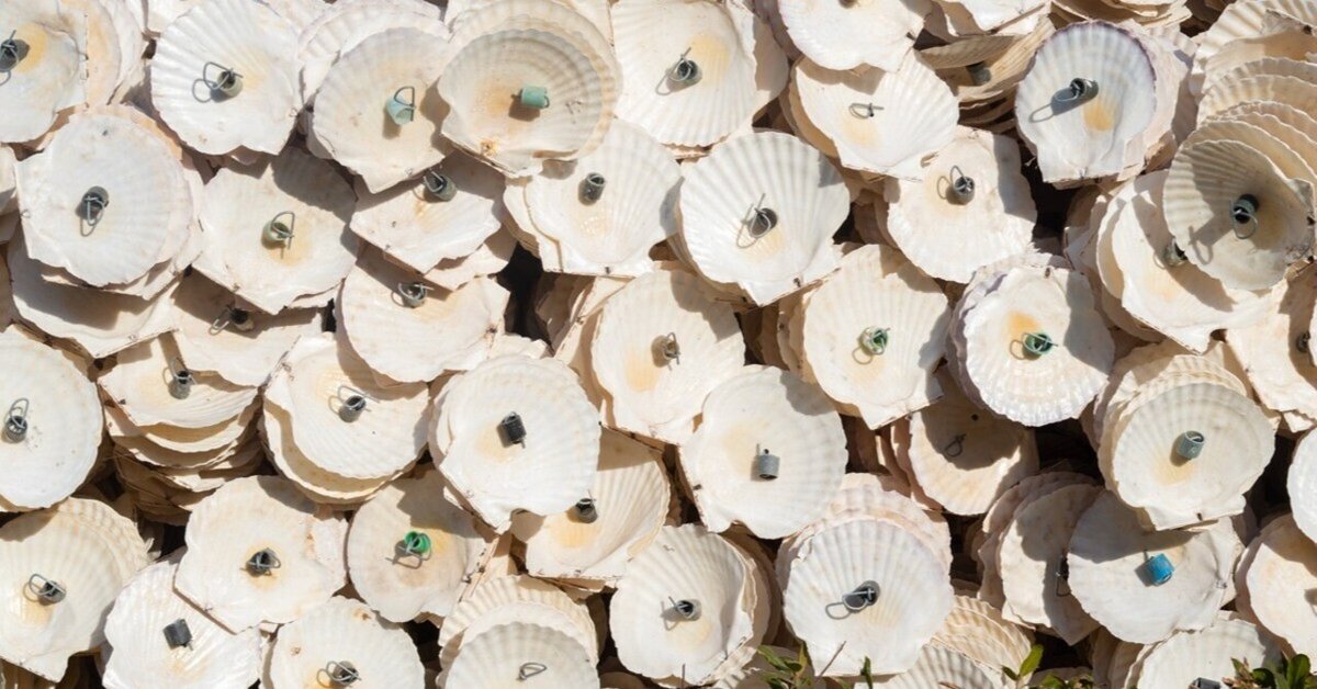日生諸島　その風土と暮し 日生諸島 その風土と暮し 日生諸島 その風土と暮し