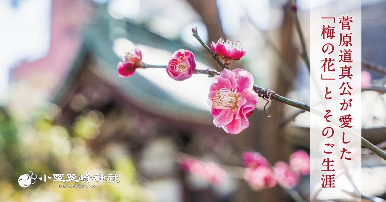 菅原道真公が愛した「梅の花」と そのご生涯｜小野照崎神社