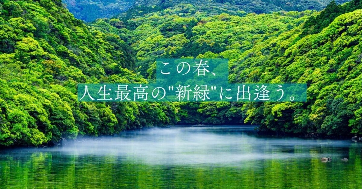 この春、人生最高の新緑に出逢う。｜笹川 健一 (Kenichi Sasagawa)