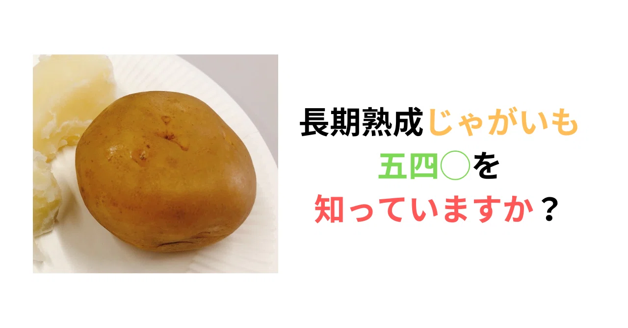 長期熟成じゃがいも五四◯を知っていますか？｜吉田拓実｜さいこう