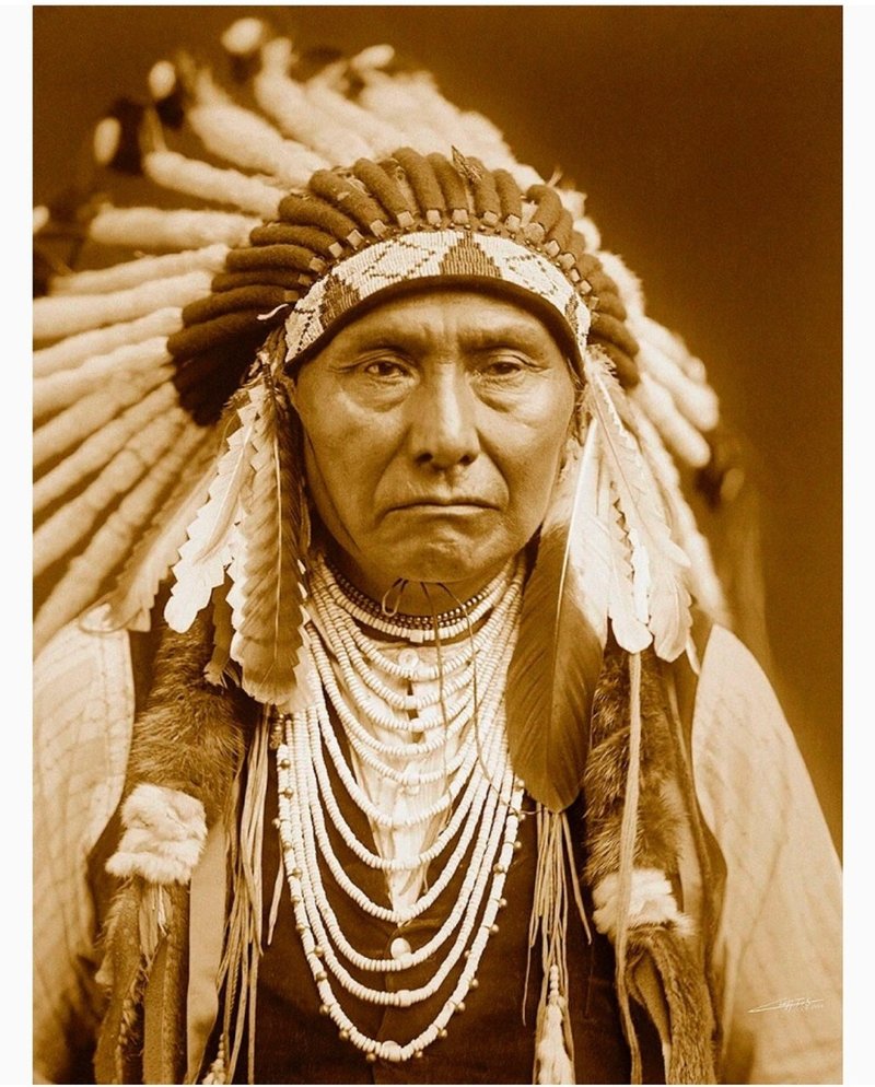 ポコ の人生の名言 15 チャカポコ Note