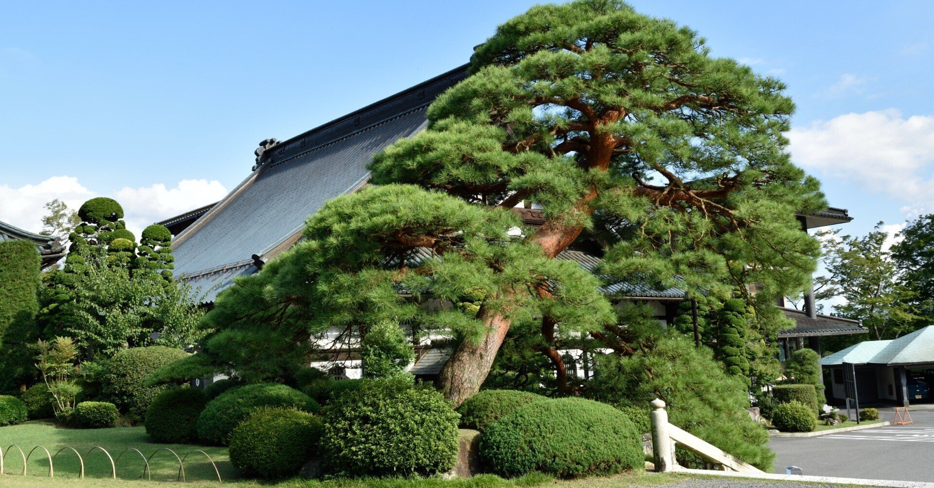 日本の造園樹木 日本庭園・造園工事 | 市原市で造園・外構・エクステリア・植木のこと