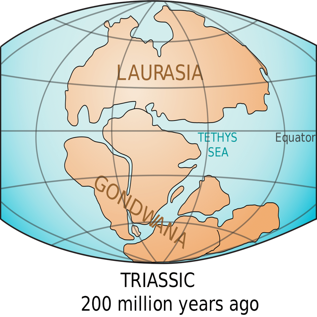 教養として身につける地理８ 大陸と地形の成り立ち ７ Mokosamurai もこ侍 Note