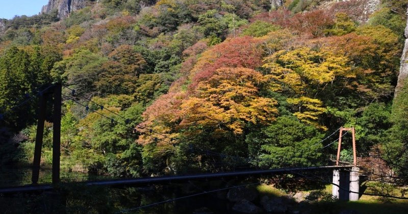 なぜテレビタレントの 美味しい はウソで Youtuberの 美味しい はホントなのか 藤本 けんたろう Note