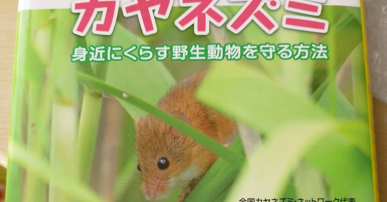 Books Without Text A Book About Harvest Mice|ろろくろ