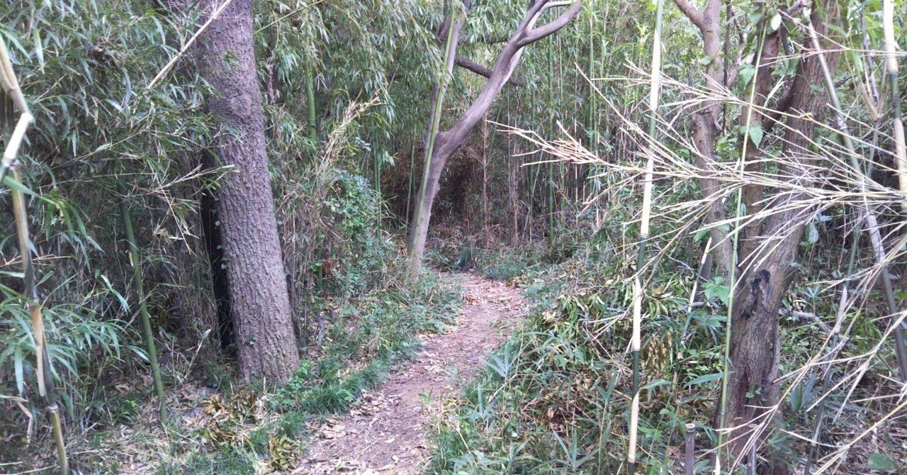 林の中に住むホームレス ばぃちぃ Note