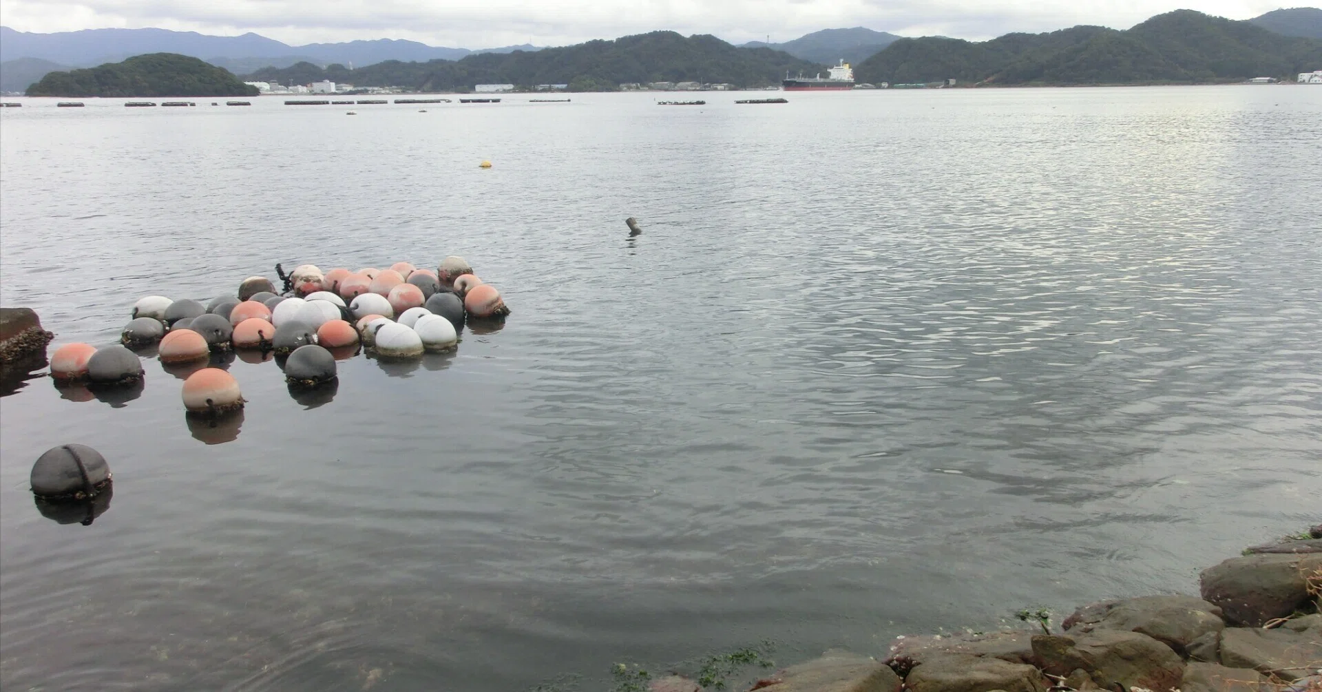 旧日本海軍 記念像 敬礼像 木箱入り 置物 オブジェ 5月29日 日本初の軍神・広瀬武夫の巨大銅像が旧万世橋駅前に登場