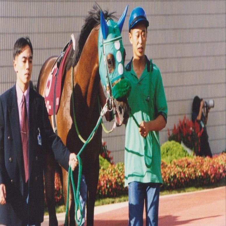 水曜馬スペ！騎手・福永祐一 ～馬と人と、駆けた27年～の感想