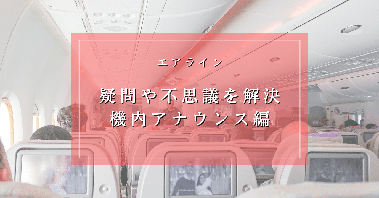 超レア入手困難！航空ファンやこれからCAになる方へ！CA(客室乗務員