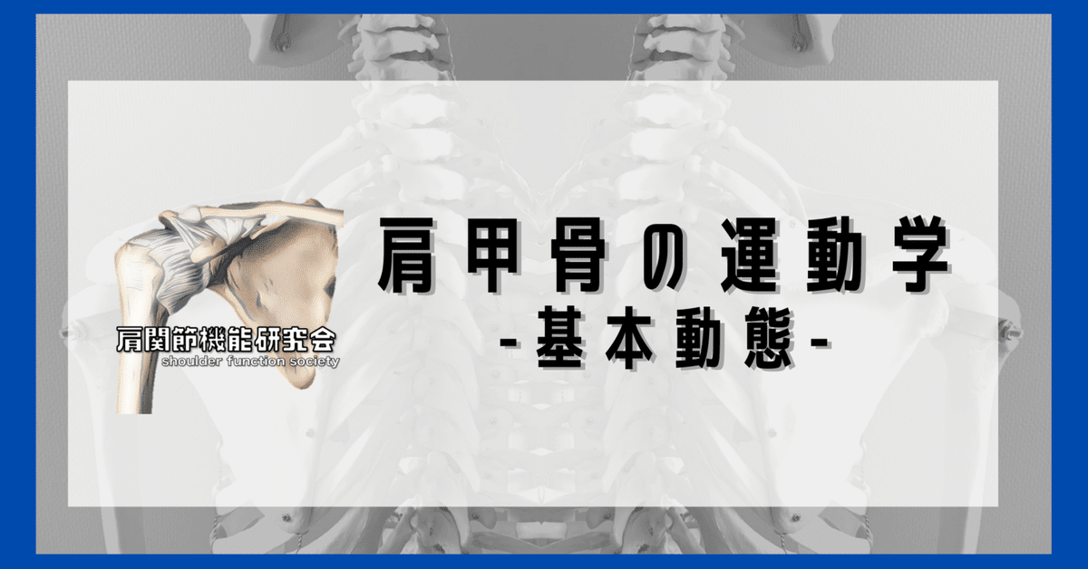 徹底解説！肩甲骨の基本動態｜肩関節機能研究会 郷間