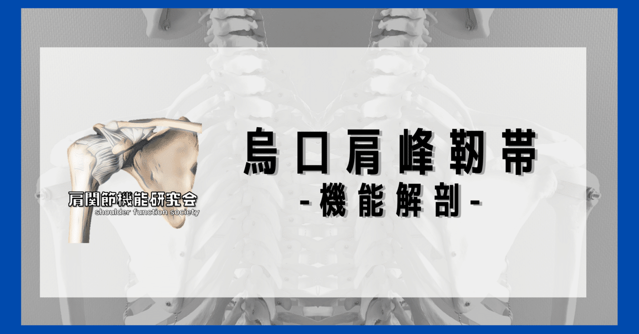 肩　その機能と臨床 Amazon.co.jp: 肩 第4版: その機能と臨床 : 信原 克哉: 本