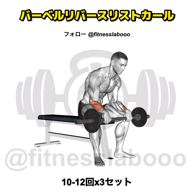 マルチストロンガー プレート28mm トレーニング フイットネス