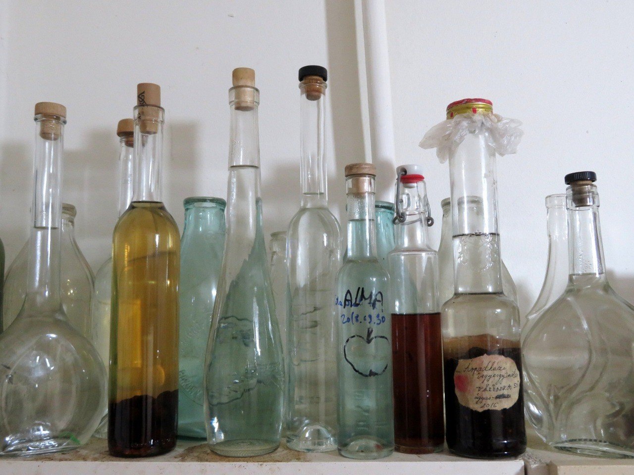 Palinka パーリンカ　ダークチェリー　ハンガリー産　350ml パーリンカ（PÁLINKA）｜Eiko Toda