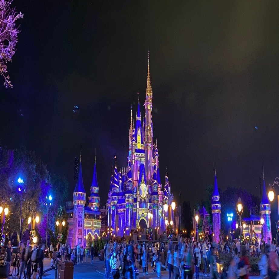 ディズニーワールド：マジックキングダムでプレ年越し｜Saki