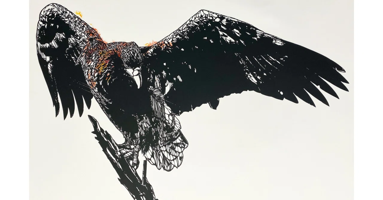Paper Cutting / White-tailed Eagle: Majestic I｜切り絵作家 ひら子