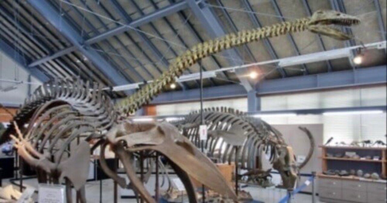 北海道沼田町］クラウドファンディングで「化石王国ぬまた」を発信しま