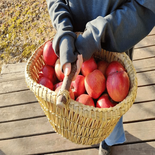 安曇野で藁でものを作る技術を残したい (スズキ ユカリさん)｜廻り道