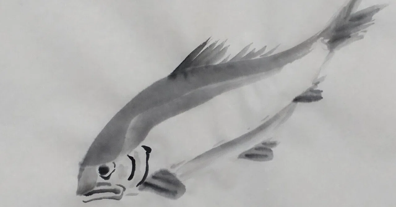 【真作】掛軸　魚図　水墨写生の逸品　迫力ある魚姿を描く　二重箱入　V83 墨で魚とか蘭とか｜KaoRu IsjDha