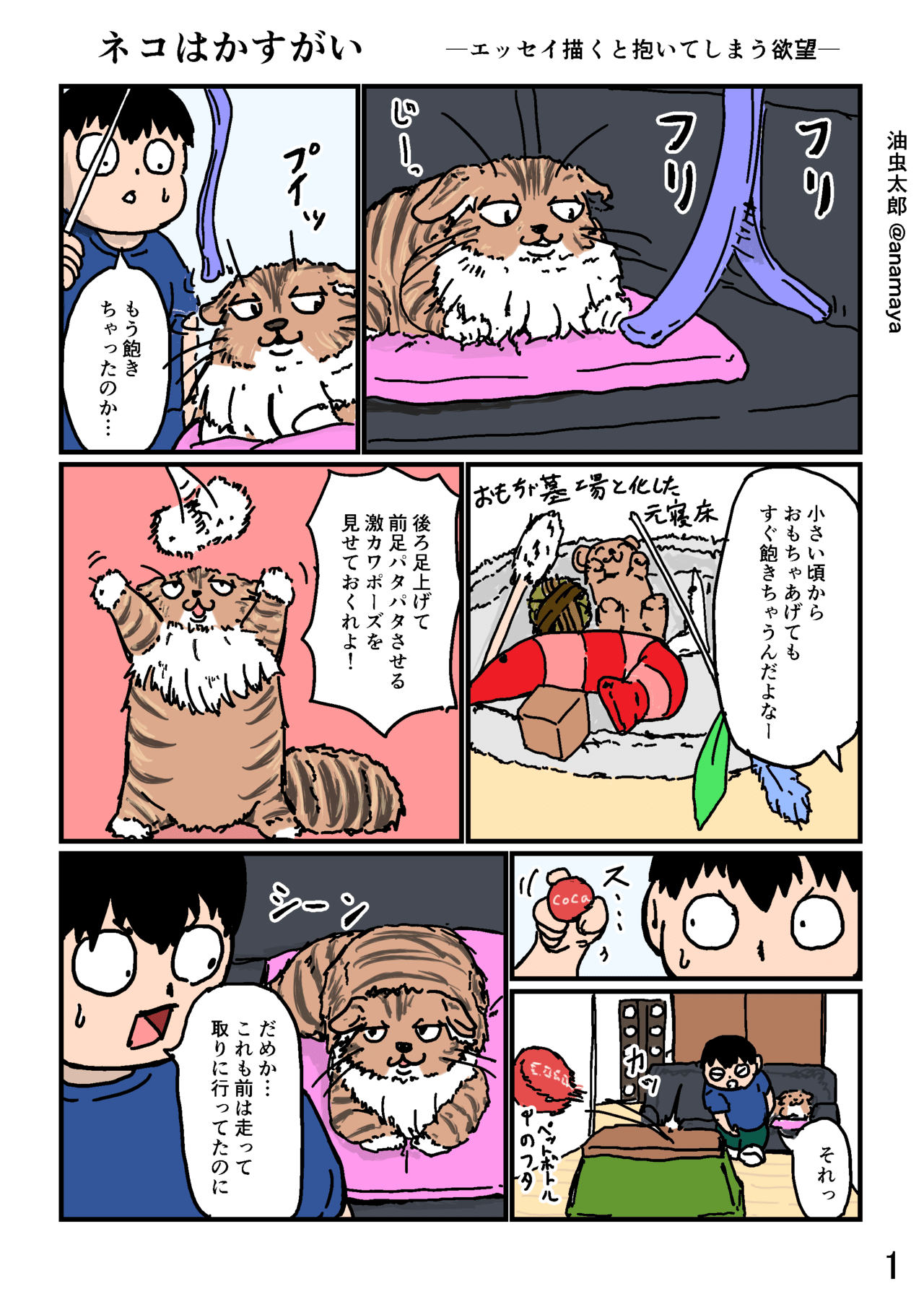 20190128暴れておくれよバーニーちゃん枠色なし_001