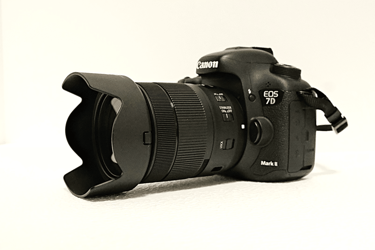 17-55mmF2.8から18-135mmへ。あえてEFレンズを買い替え|会場 17-55mmF2.8から18-135mmへ。あえてEFレンズを買い替え|会場