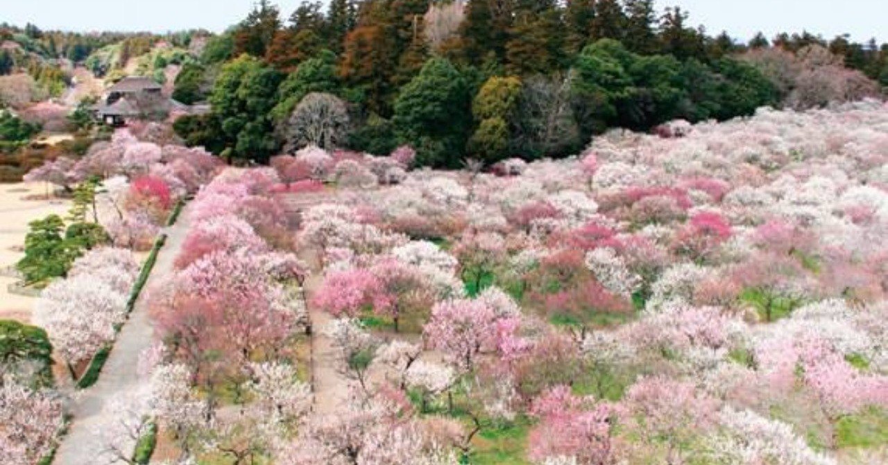 人の行く裏に道あり花の山 小林タカ鹿 Note
