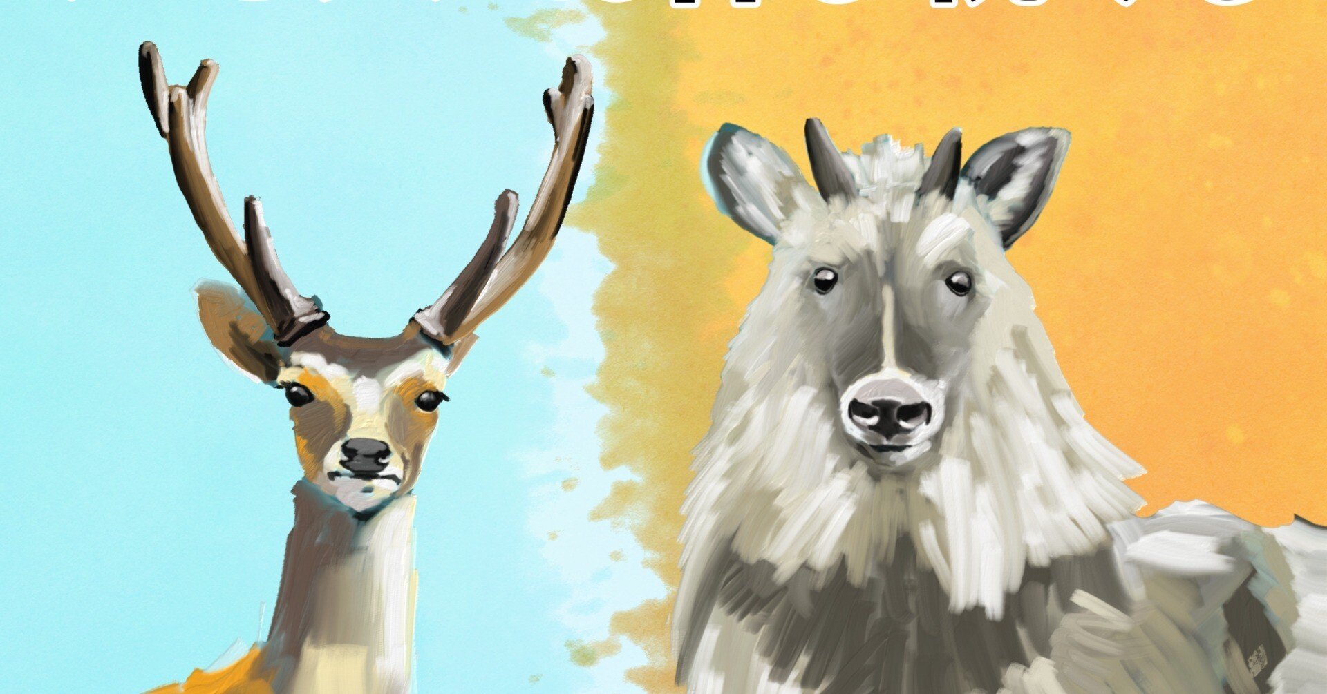 カモシカの角 シカのツノは生え変わる。カモシカのツノは伸び続ける。｜くますけ