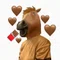 🐴田中です