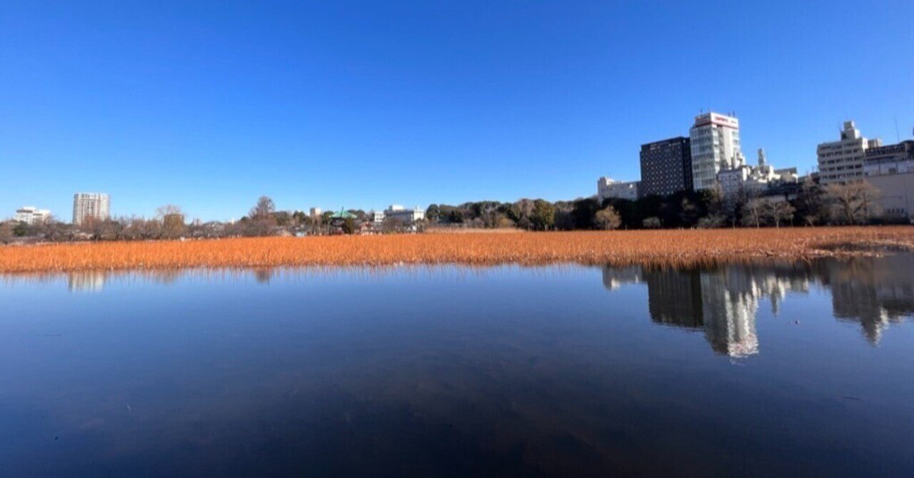 東京・上野の不忍池での自然観察会！｜認定NPO法人 野生生物保全論研究