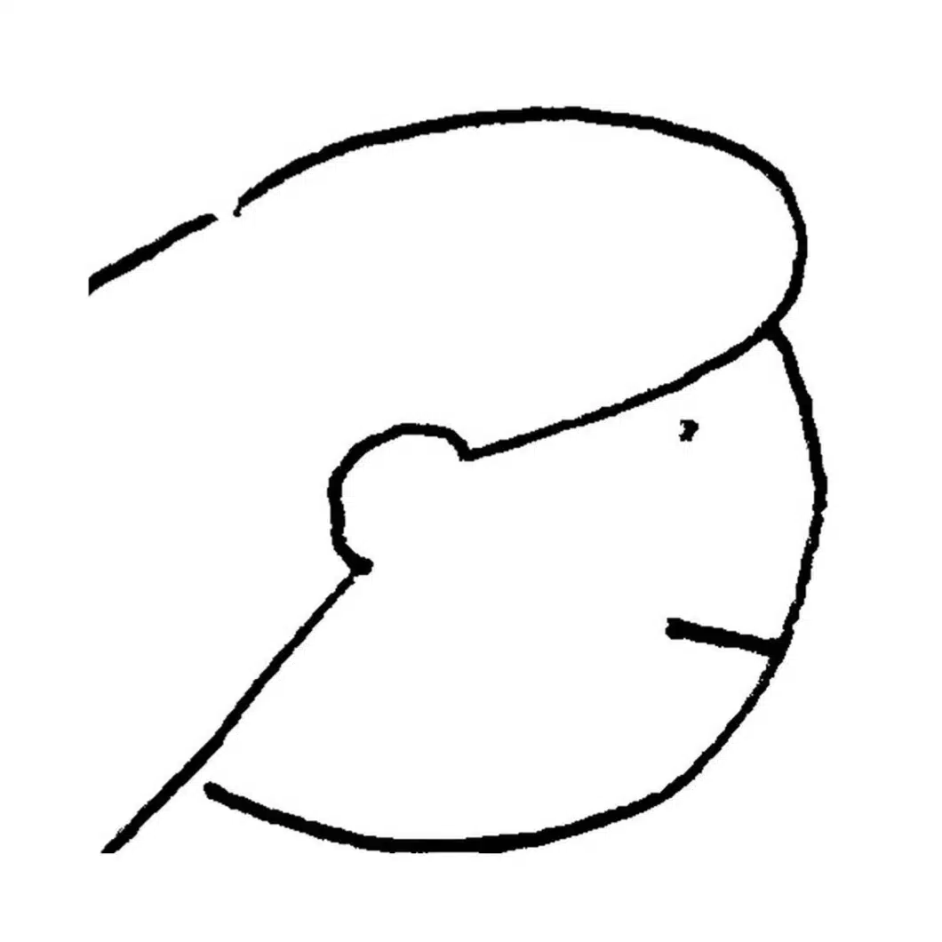 かりそめ（design / illustration）
