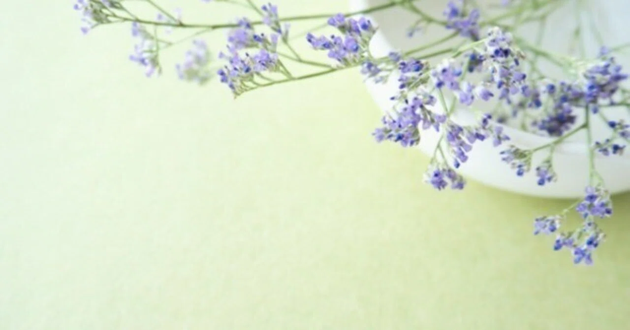 How I, a stay-at-home mom of 6 years, started as a web writer｜さえ