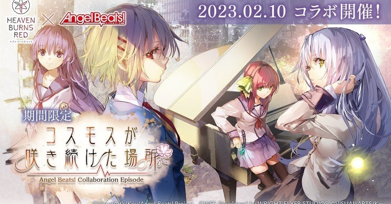 2023年2月13日 コスモスが咲き続けた場所|おにいたん 2023年2月13日 コスモスが咲き続けた場所|おにいたん