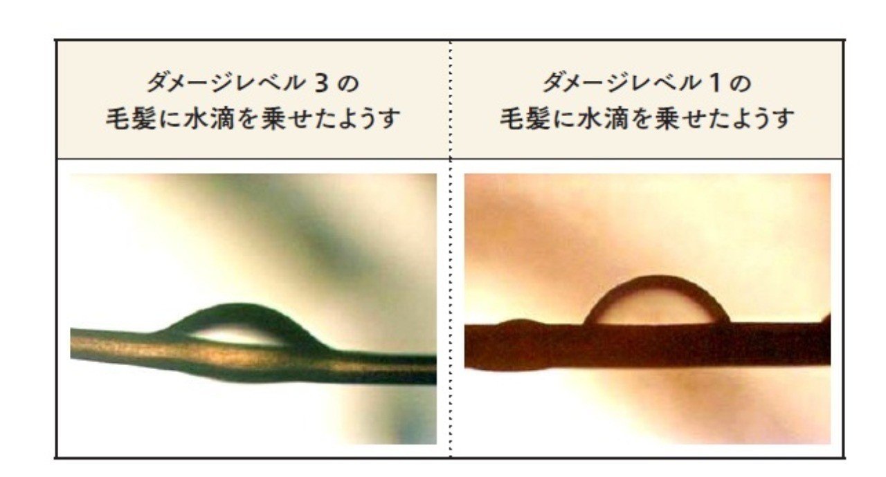 髪のパサつく季節はオイルで美髪 のウソ ホント 美容師が知っておきたい ケミ用語集 美容業界誌 髪書房 月刊bob 月刊next Leader Note