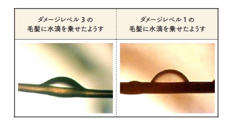 髪のパサつく季節はオイルで美髪 のウソ ホント 美容師が知っておきたい ケミ用語集 美容業界誌 髪書房 月刊bob 月刊next Leader Note 髪のパサつく季節はオイルで美髪 のウソ ホント 美容師が知っておきたい ケミ用語集 美容業界誌 髪書房 月刊bob 月刊next Leader Note