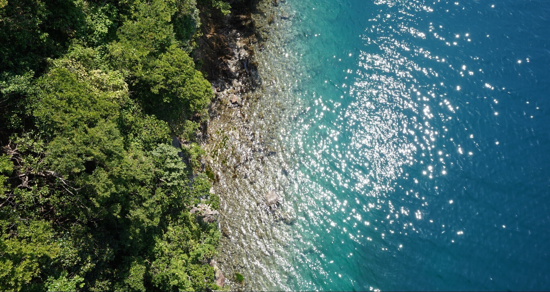 離島カード 島根県 西ノ島 西ノ島町【くらしまねっと】しまね移住情報ポータルサイト