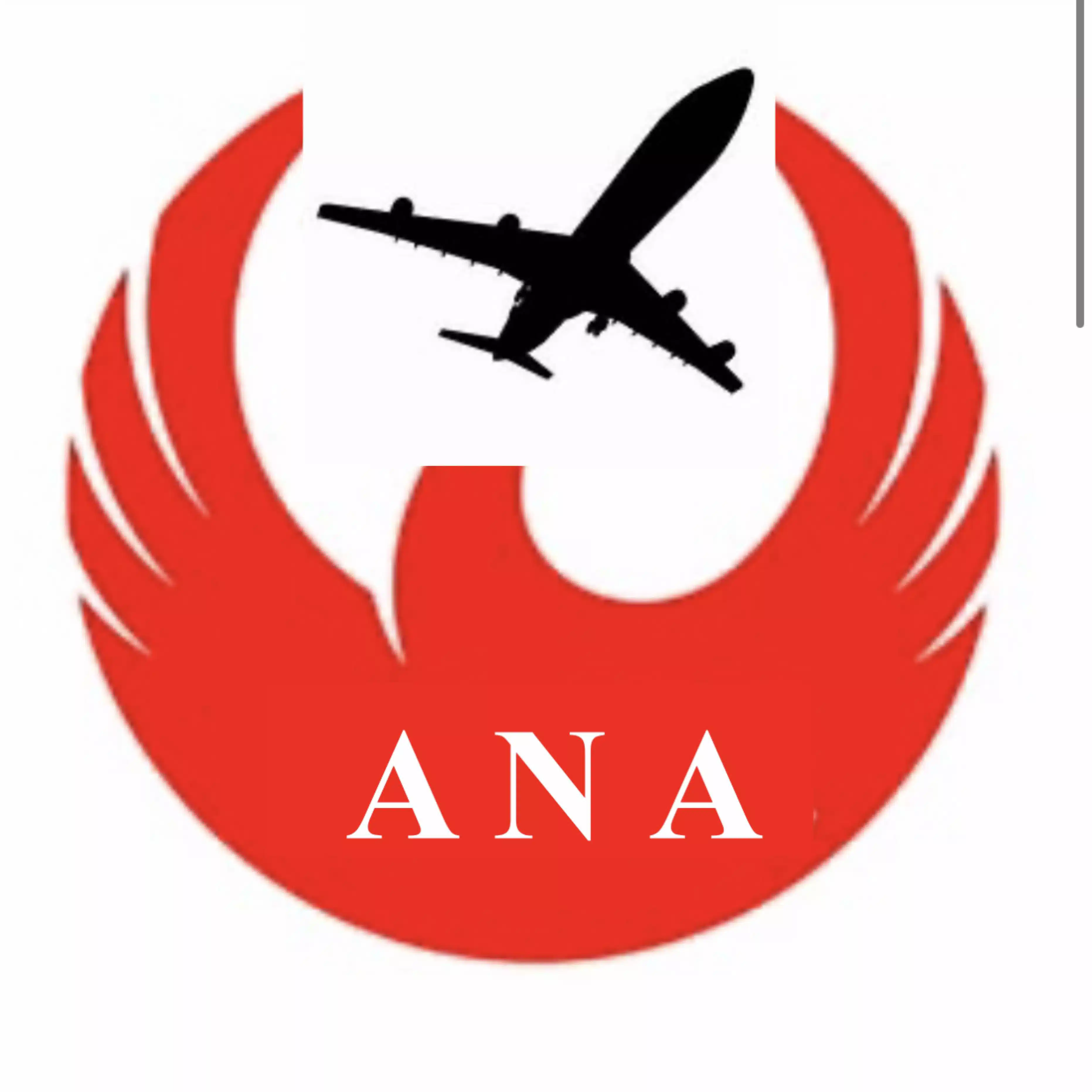 All Nippon Airwalks