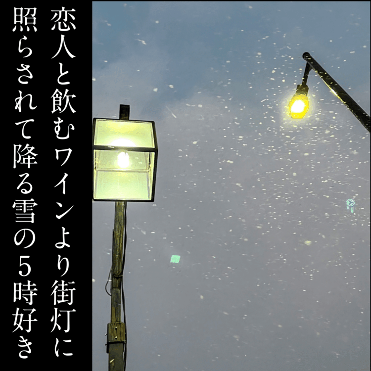 恋人と飲むワインより街灯に照らされて降る雪の5時好き#NHK短歌 #短歌写真部