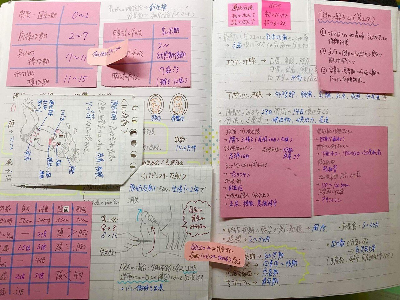 看護師国家試験 勉強用 自作参考書 | chidori.co