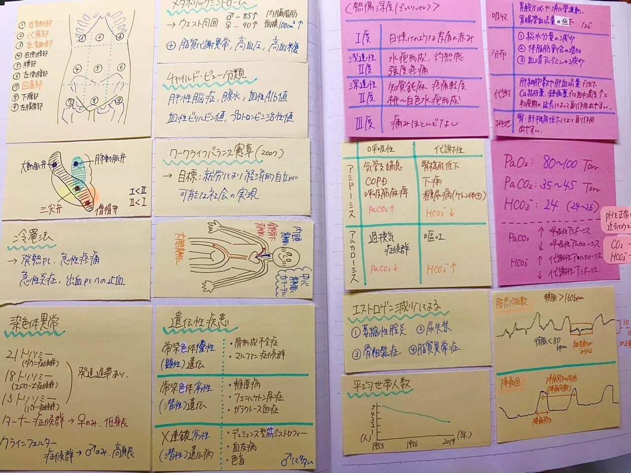 第112回看護師国家試験を受験した私の勉強法｜あんモチ