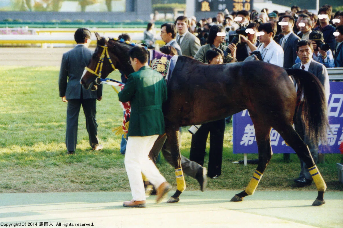 第116回天皇賞(秋)：蔵出し写真 1997年⑫エアグルーヴ｜馬画人 (まがじん)