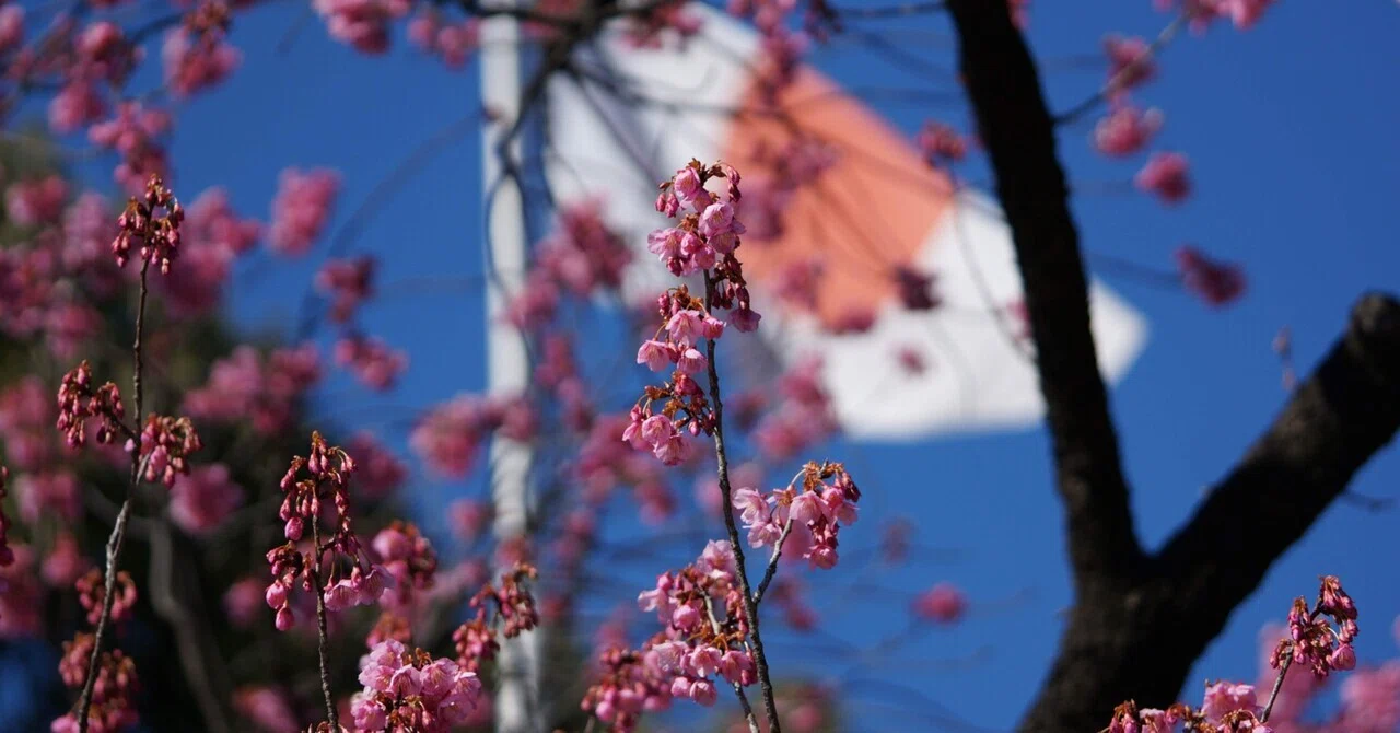 Bcp Policy Example I often think, 'Please speak in Japanese, not in loanwords!'|リカエリカ