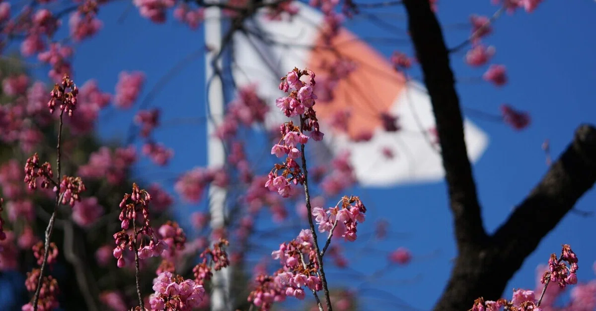 Bcp Policy Example I often think, 'Please speak in Japanese, not in loanwords!'|リカエリカ
